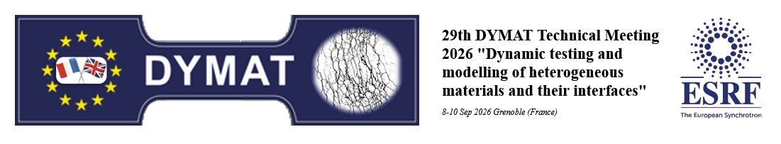 29th DYMAT Technical Meeting